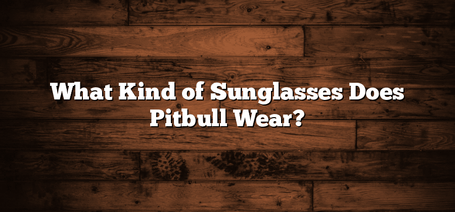 What Kind of Sunglasses Does Pitbull Wear?