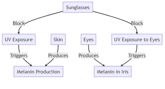 Do Sunglasses Prevent Melanin Production
